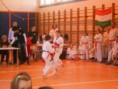 /album/s-r-s-e-kupa-ii-2013-12-15/a1514585-543191872442601-1984661700-n-jpg/